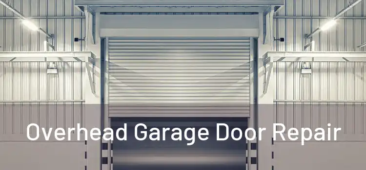  Overhead Garage Door Repair 